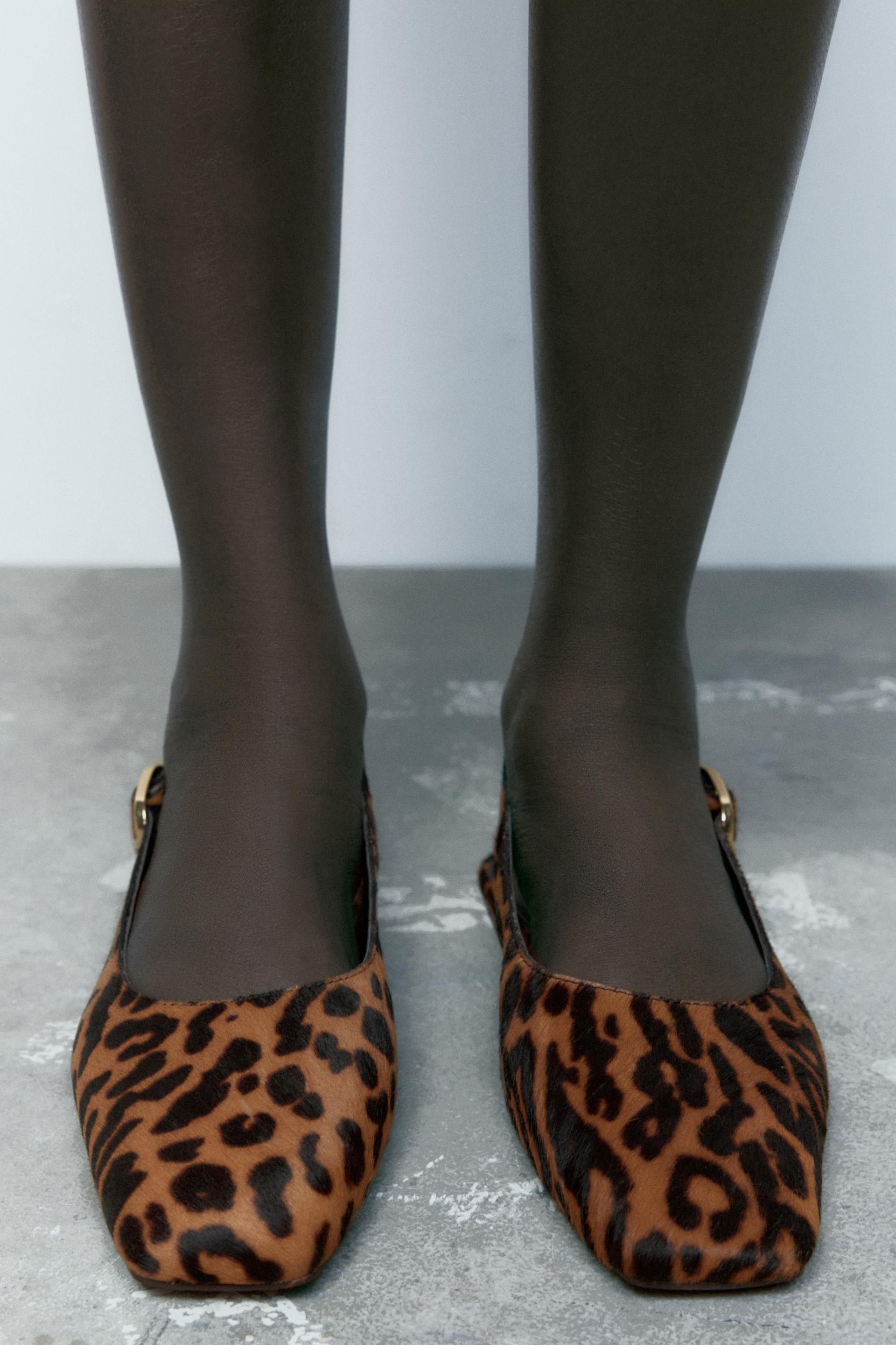 súd trest posol bailarinas animal print zara gril osídlenie svorka