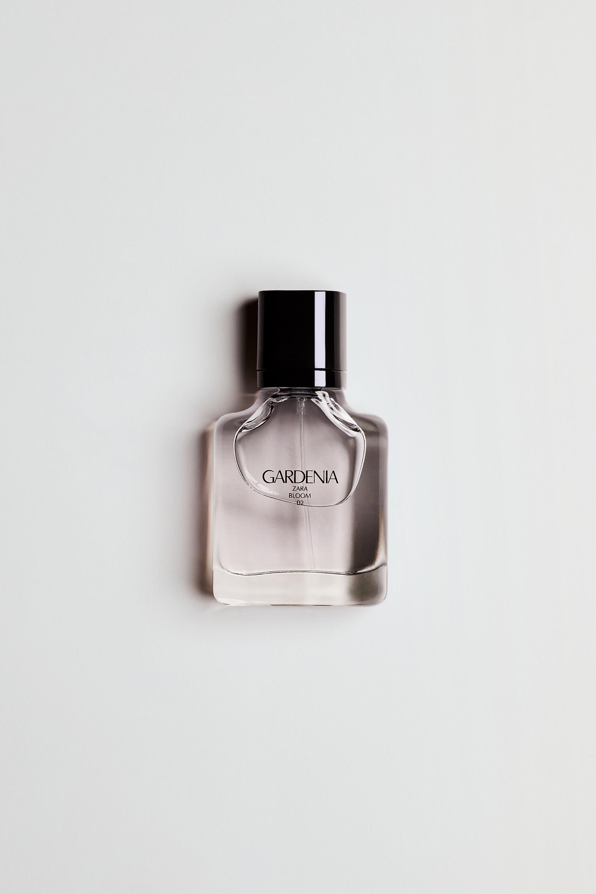 Gardenia Zara Bloom 02 Ubicaciondepersonas cdmx gob mx gardenia-zara-bloom-02-ubicaciondepersonas-cdmx-gob-mx