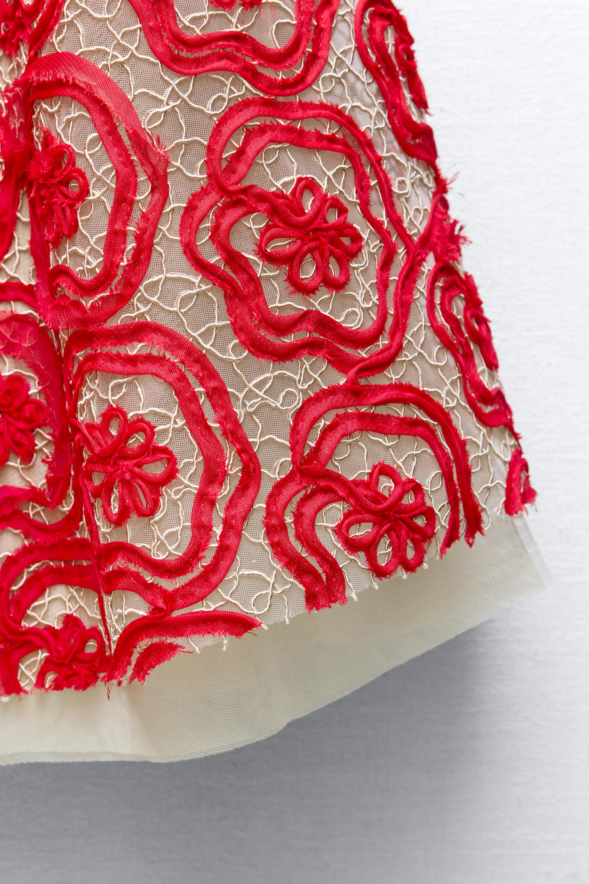 Red tulle skirt zara hot sale