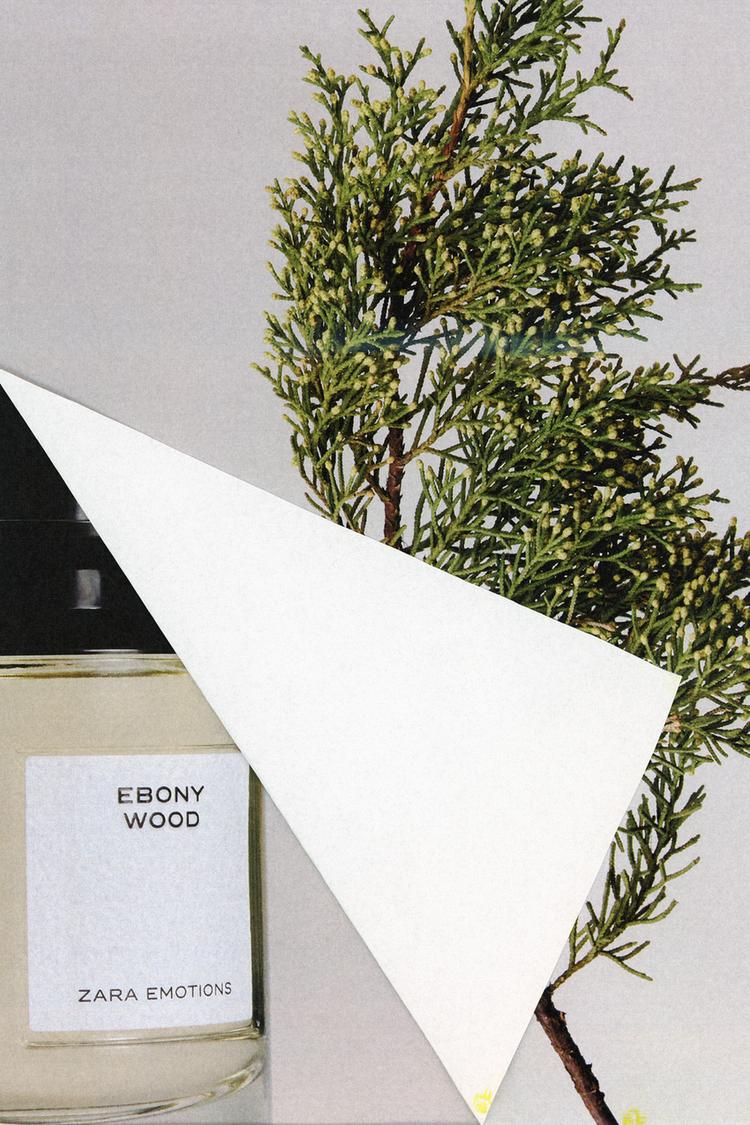 EBONY WOOD EDP 100 ML (3.4 FL. OZ). - Zara product image