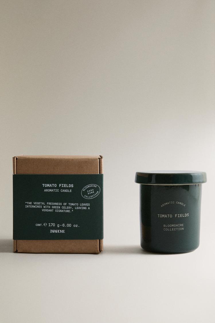 (170 G) TOMATO FIELDS SCENTED CANDLE - Zara product image