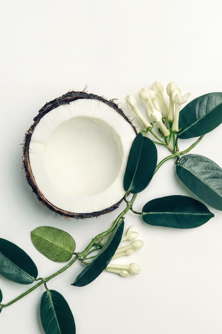 COCONUT JASMINE SUGAR EDP 50ML (1.7 FL. OZ). - Zara product image