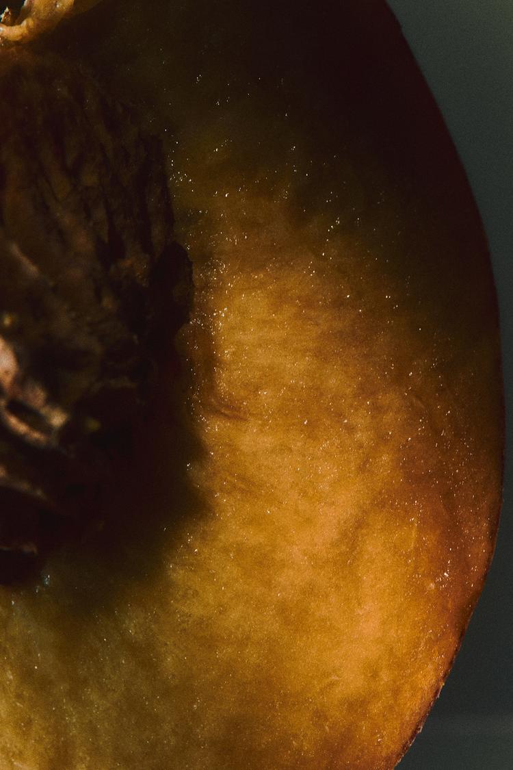 HYPNOTIC VANILLA EDP 80ML (2.72 FL. OZ). - Zara product image