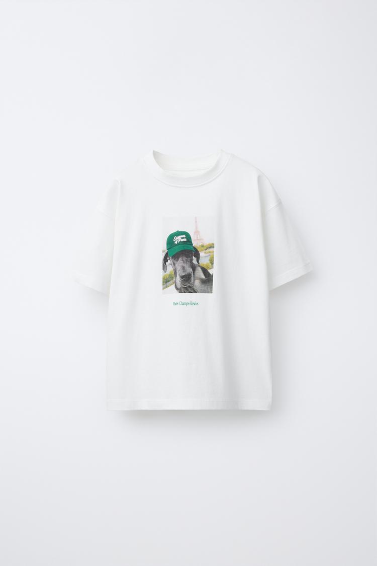 DOG PRINT T-SHIRT - Zara product image