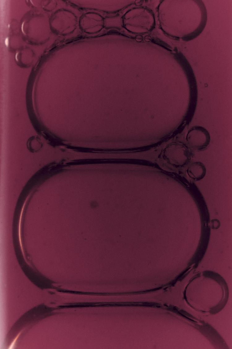 MOONLIGHT WHISPER EDP 80ML (2.71 FL.OZ) - Zara product image