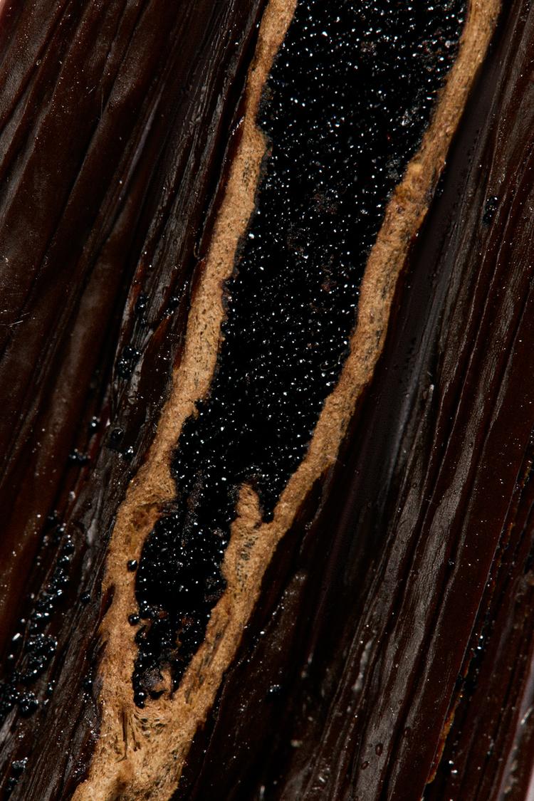 RED ZARA TEMPTATION & VANILLE EXTRAIT DE PARFUM 50ML (1.7 FL. OZ). - Zara product image