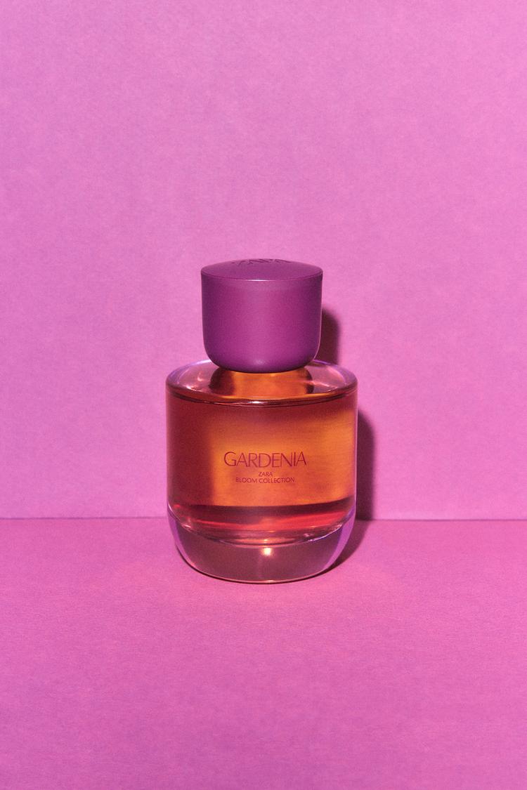 GARDENIA EDP 90 ML (3.04 FL. OZ) - Zara product image