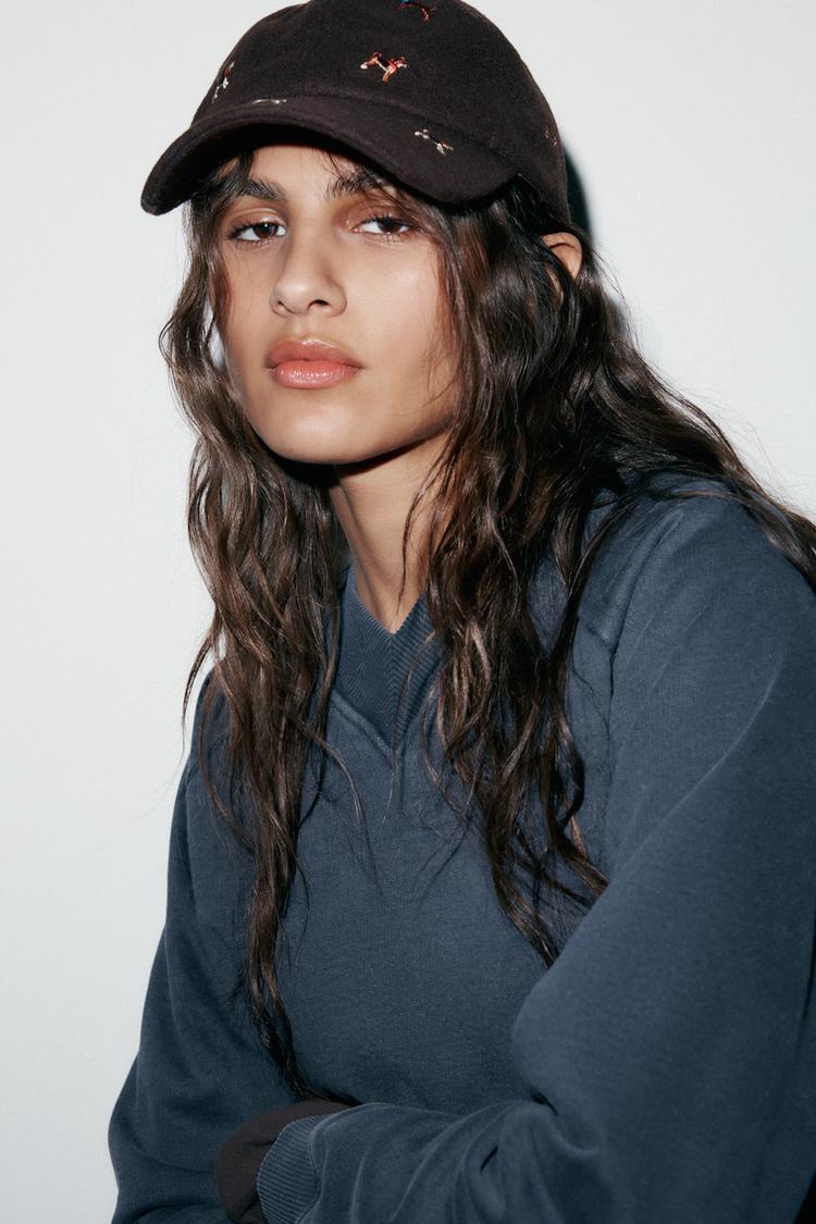 WOOL CAP WITH DOG EMBROIDERY - Zara product image