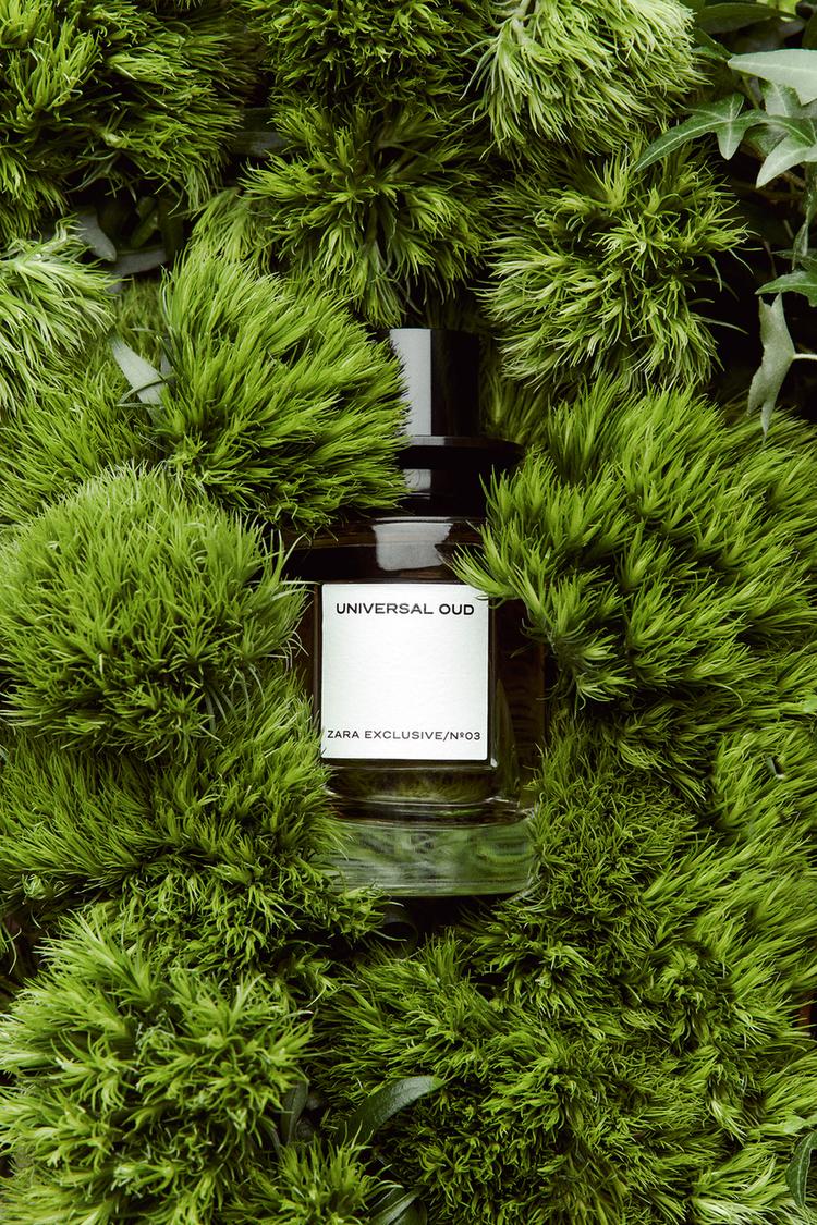 UNIVERSAL OUD EDP 100 ML - Zara product image