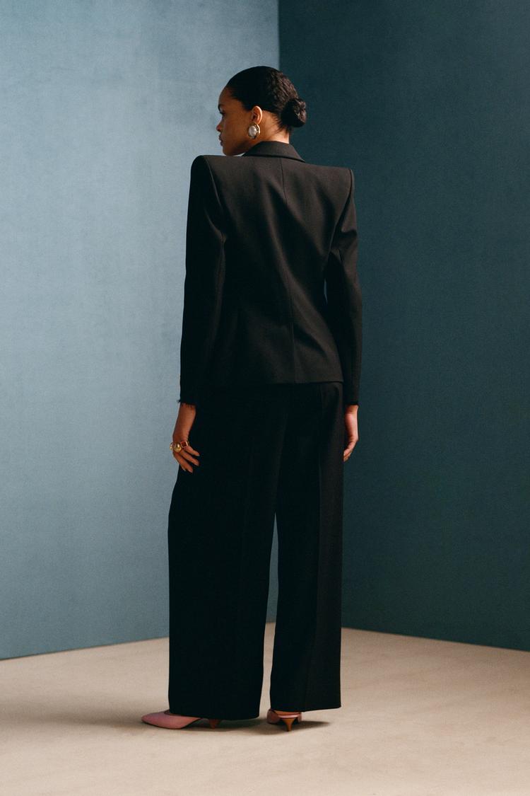 WOOL PLEATED PANTS WILLY CHAVARRIA X ZARA - Zara product image