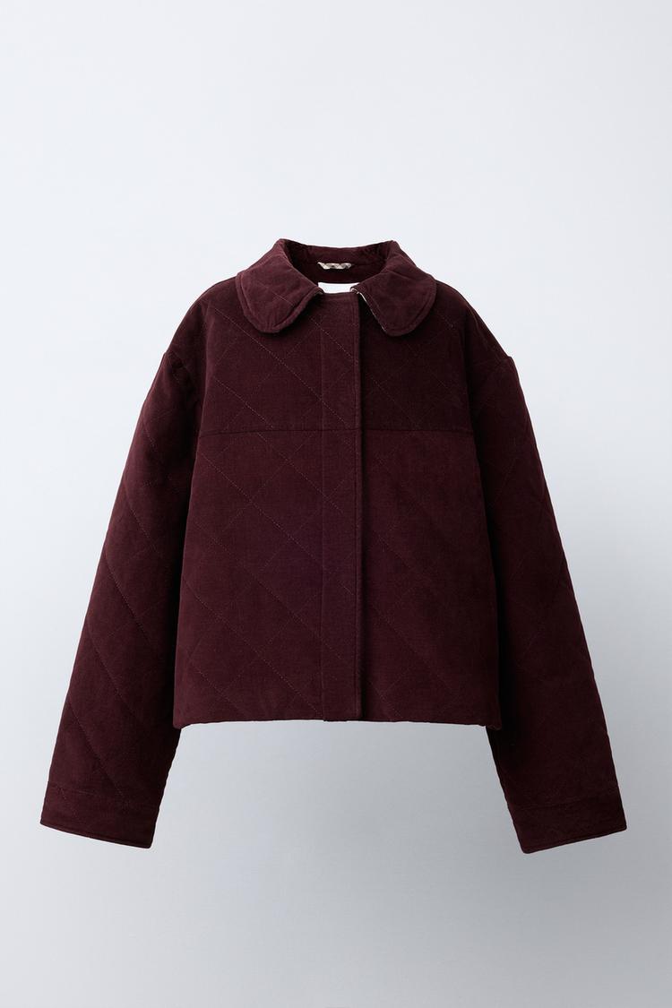 VELVET PETER PAN COLLAR JACKET - Zara product image