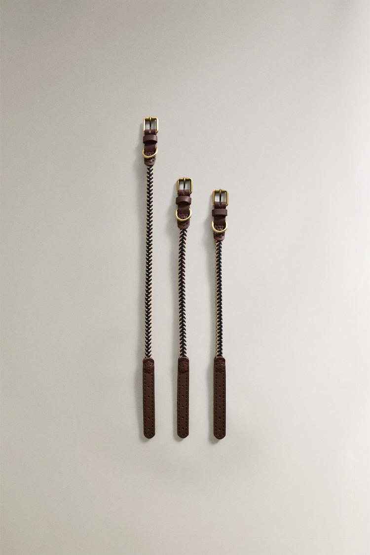 ROPE PET COLLAR - Zara product image