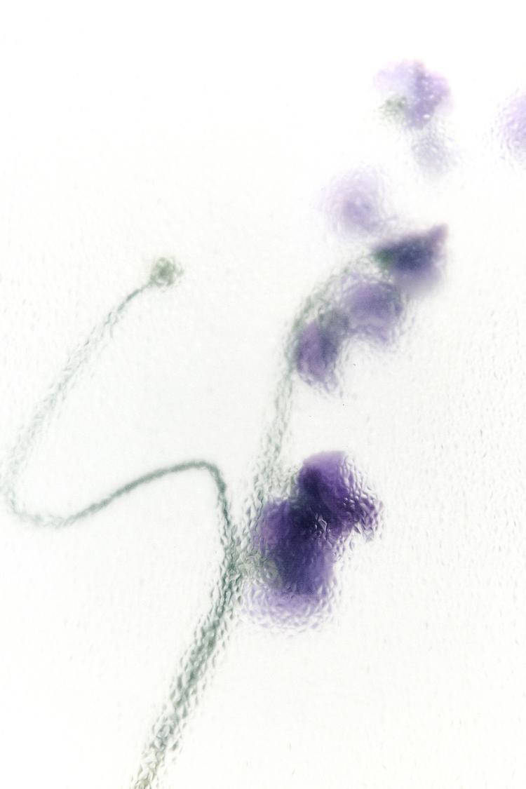 NUDE BOUQUET SUMMER EDP 100 ML (3.4 FL. OZ) - Zara product image