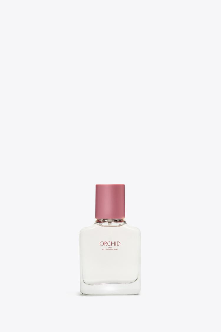 ORCHID EDP 30 ML (1.0 FL. OZ) - Zara product image